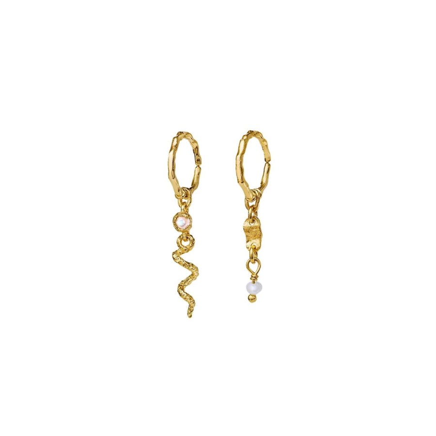 Smykker Maanesten | Maanesten Evelyn Earrings Oredobber Gull